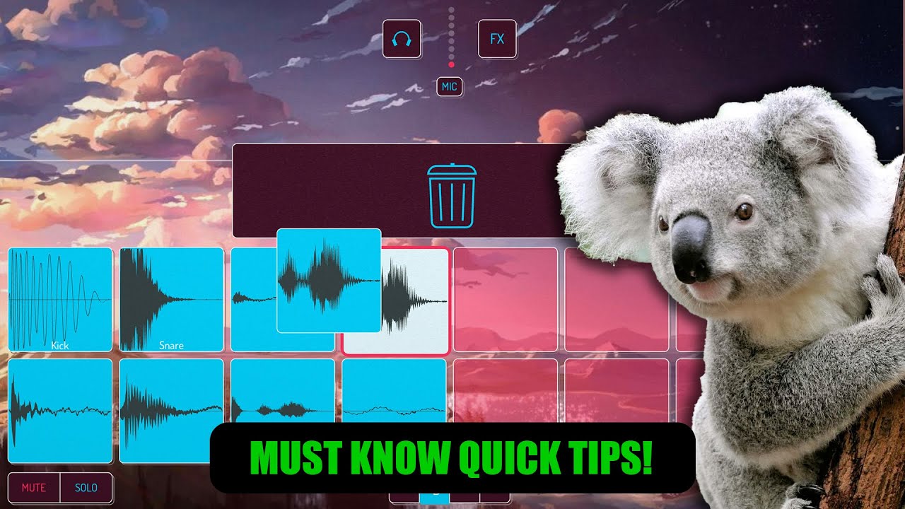 5 quick tips for Koala Sampler! 🐨