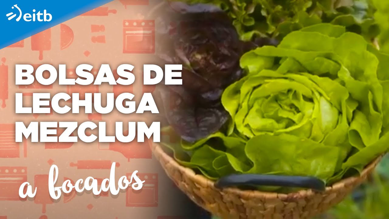 &iquest;Quieres hacer tus propias bolsas de lechuga mezclum?