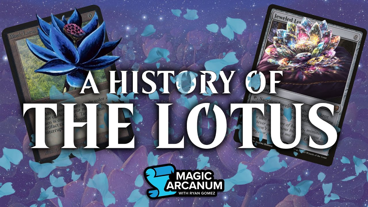 A History of The Lotus