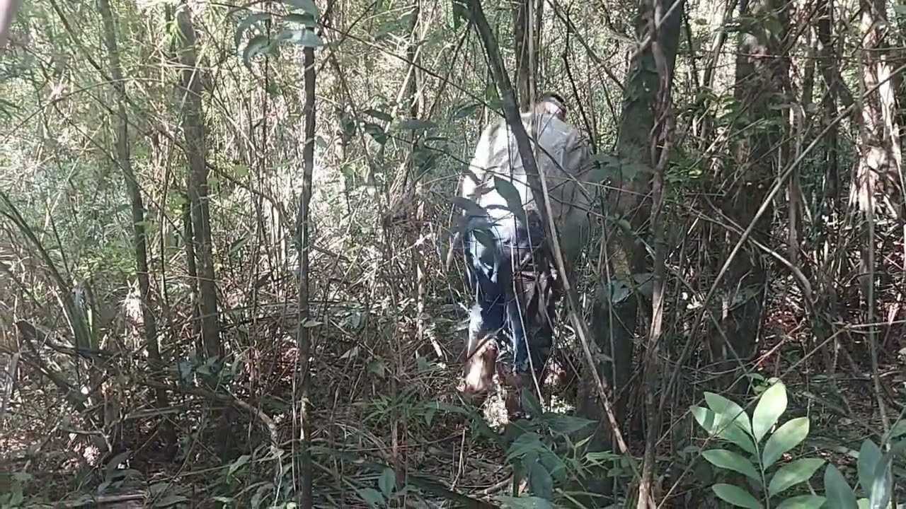 EMTRAMOS NUMA MATA PERIGOSA. VEJA COMO FOI !!