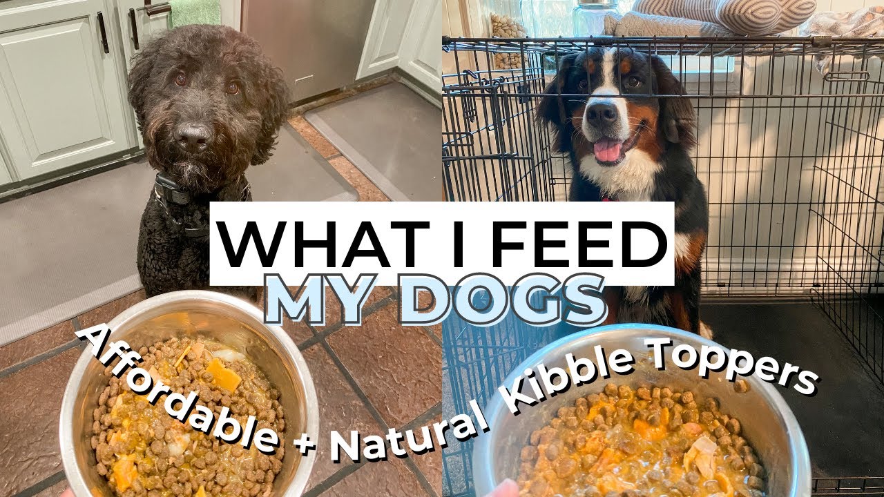 WHAT I FEED MY DOGS | affordable and natural kibble toppers