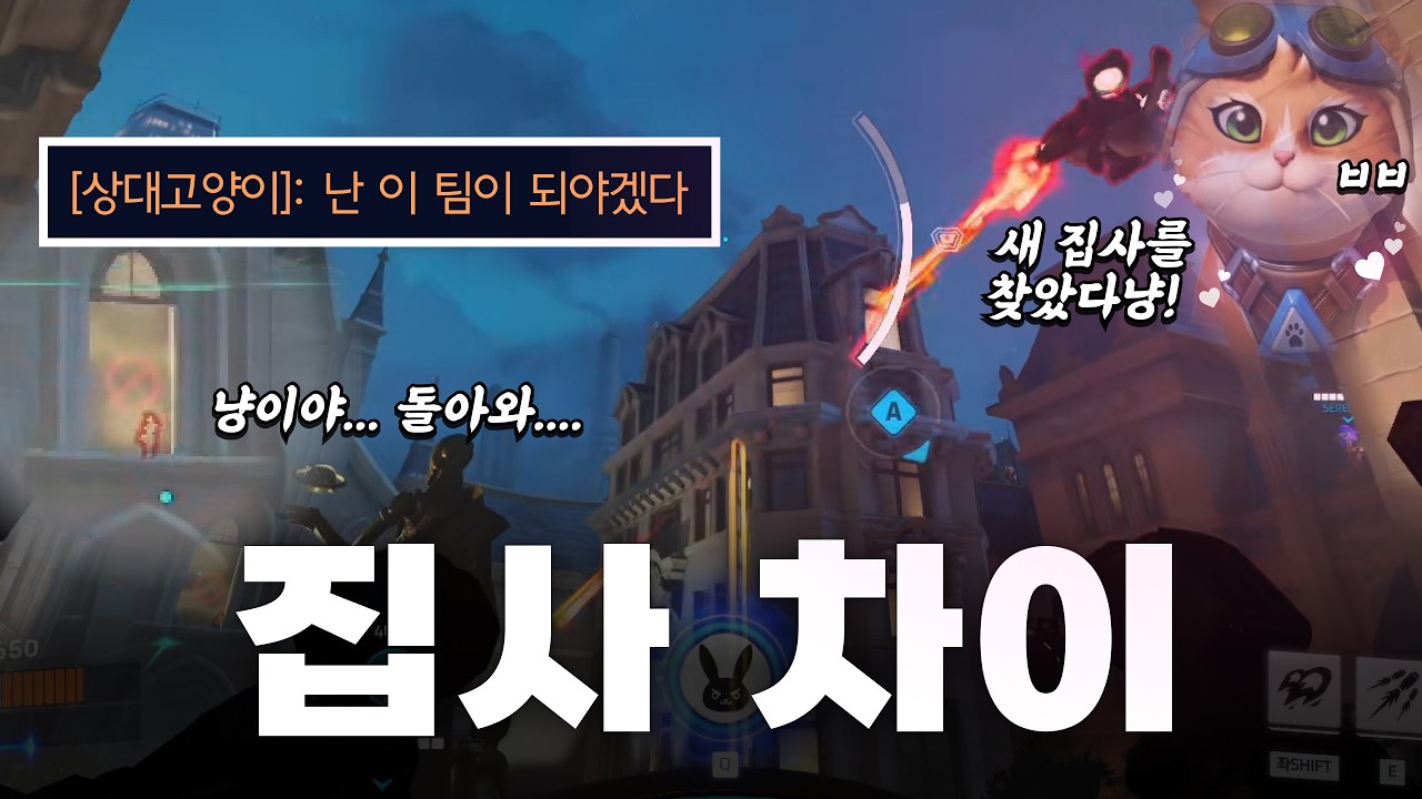 아군 집사가 마음에 안들었던 캣