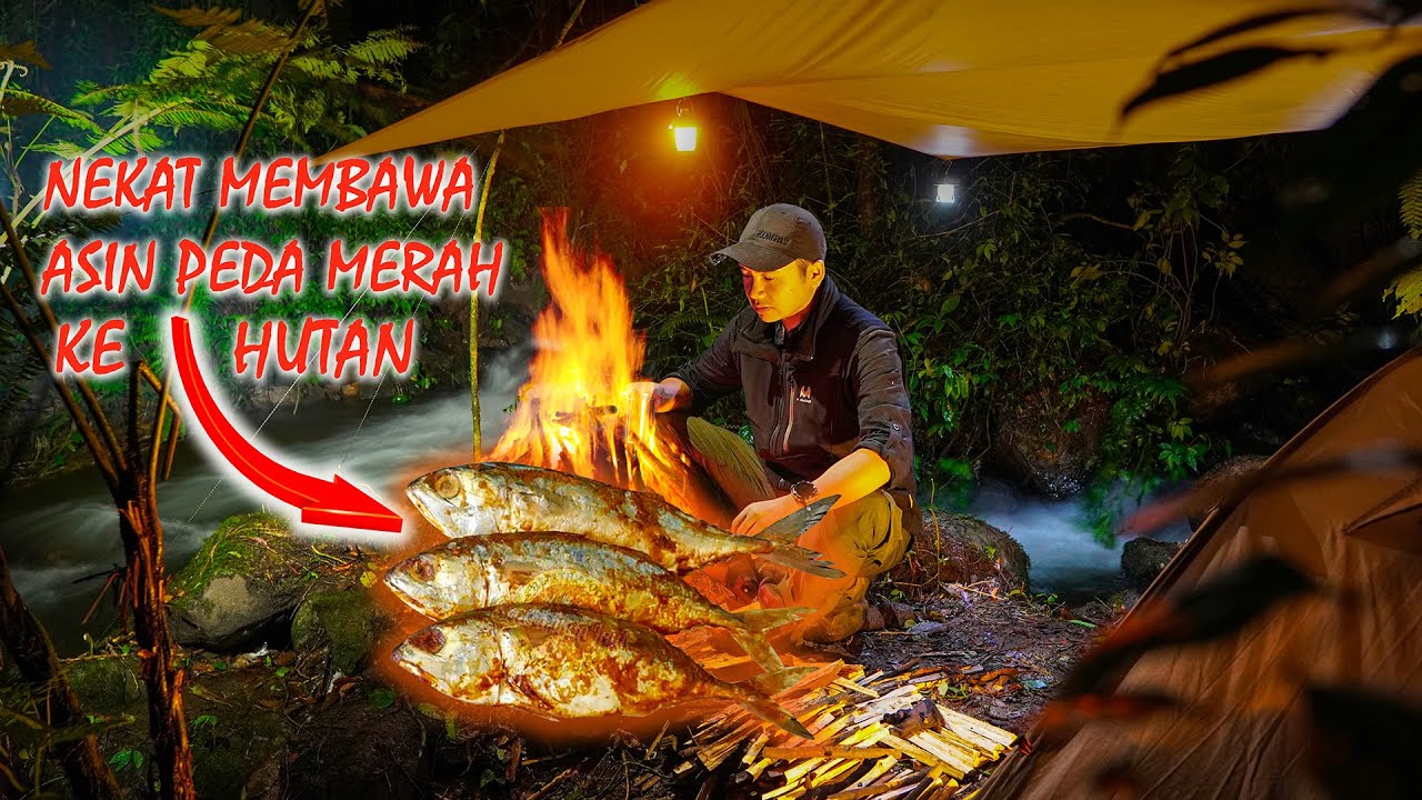 Nekat Bakar Terasi dan Ikan Asin ditengah Hutan, ini yang yang saya alami. Sangat Mengerikan...!!!!!