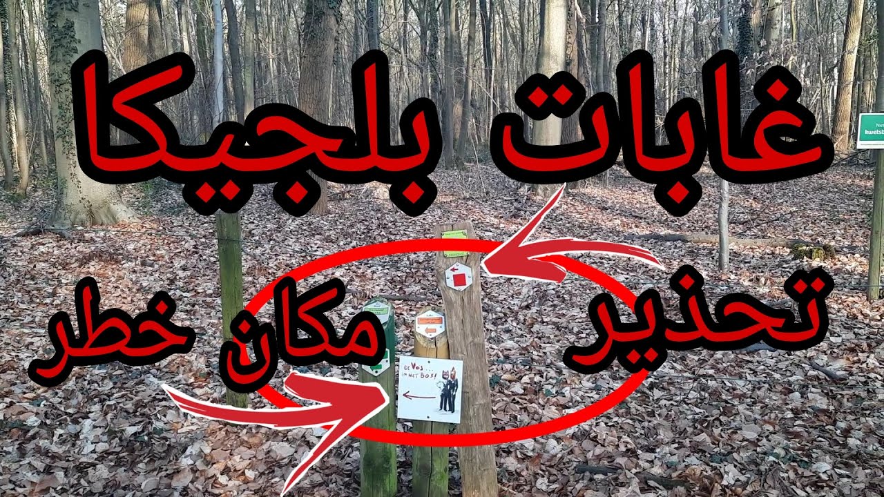 غابات بلجيكا🇧🇪 اماكن خطرة وعلامات حمراء تحذيرات😱