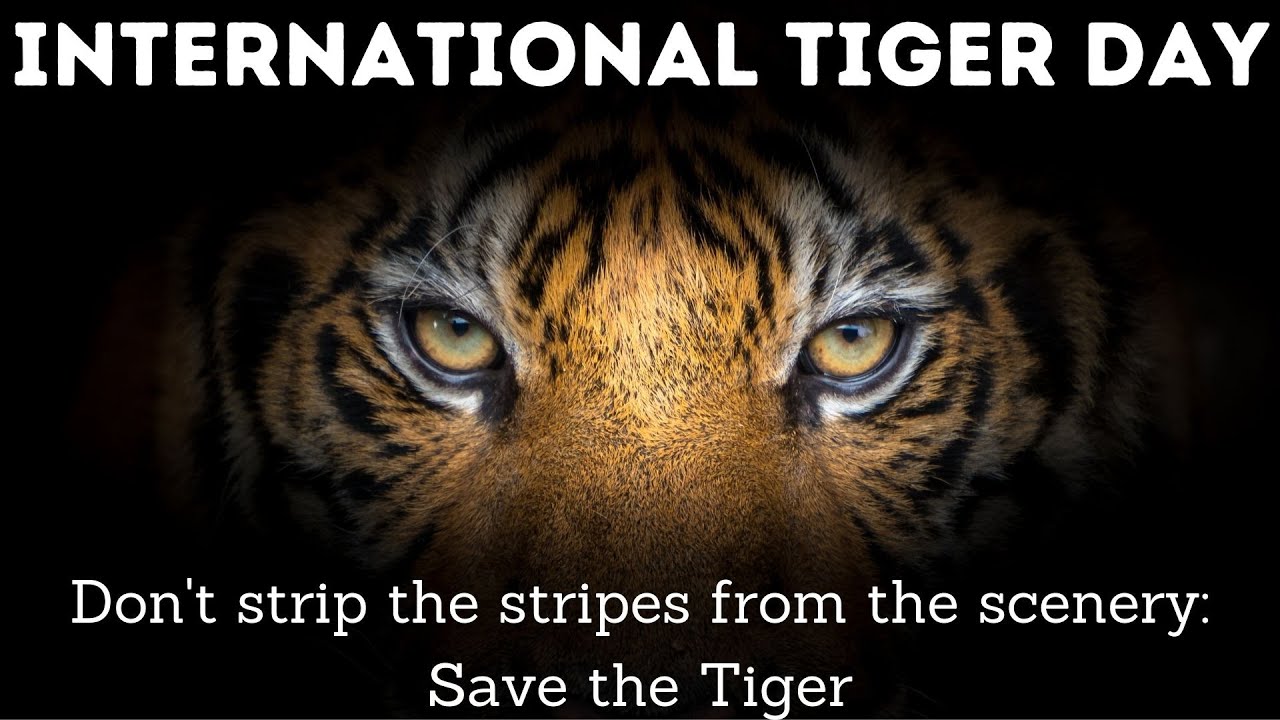 International Tiger Day 2021 | World Tiger Day | Lines on International Tiger Day
