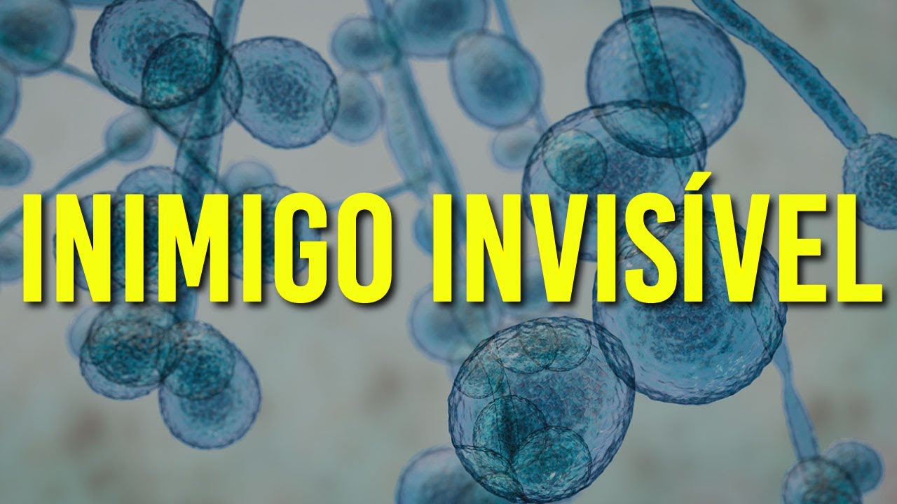 Como SUPERFUNGO CANDIDA AURIS pode causar nova PANDEMIA?