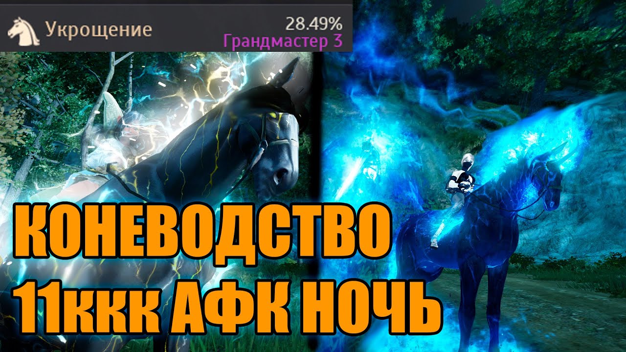 Black Desert УКРОЩЕНИЕ ГАЙД НОВИЧКУ