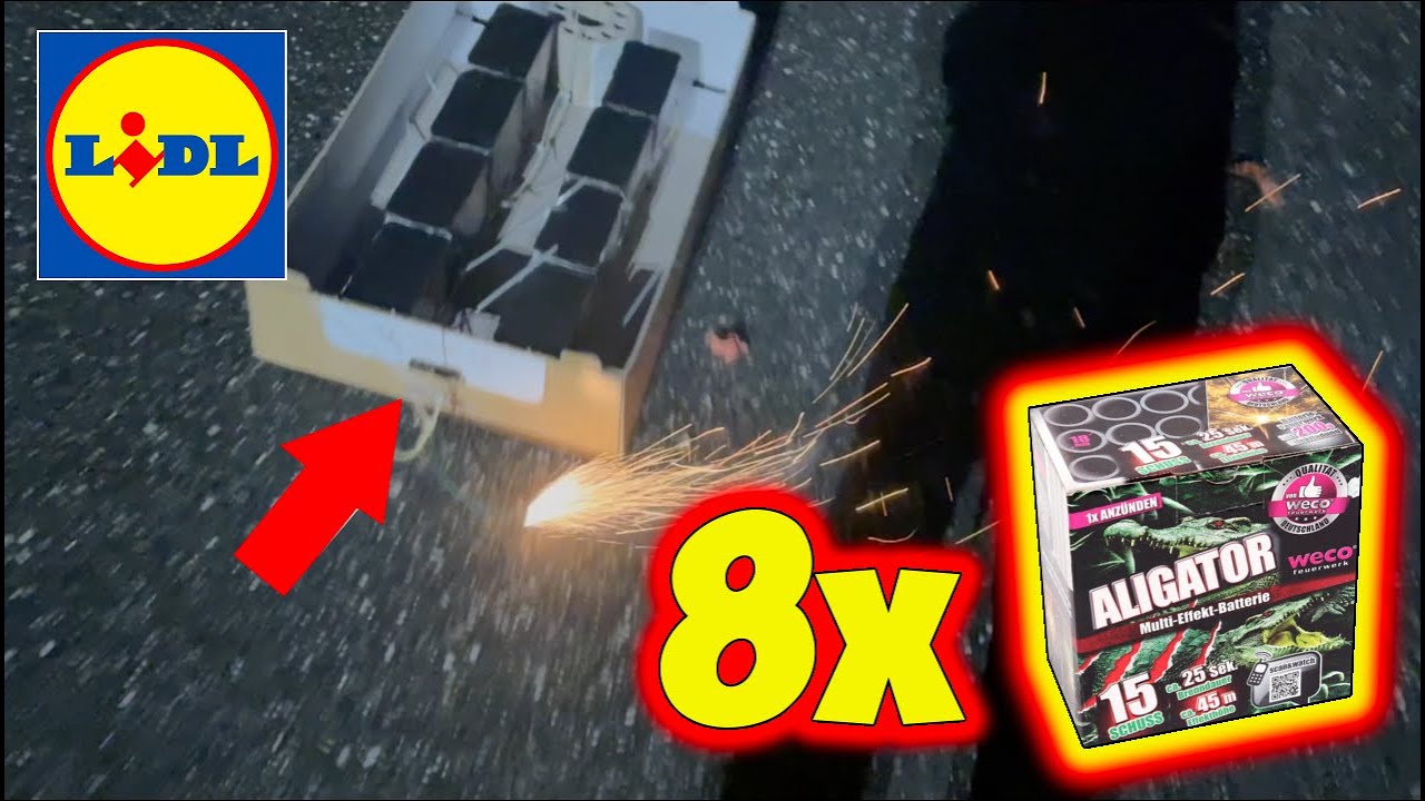 8X ALIGATOR VON LIDL | KRANKE 0:00 Uhr Action an SILVESTER 💥 | #ProfessorPyro