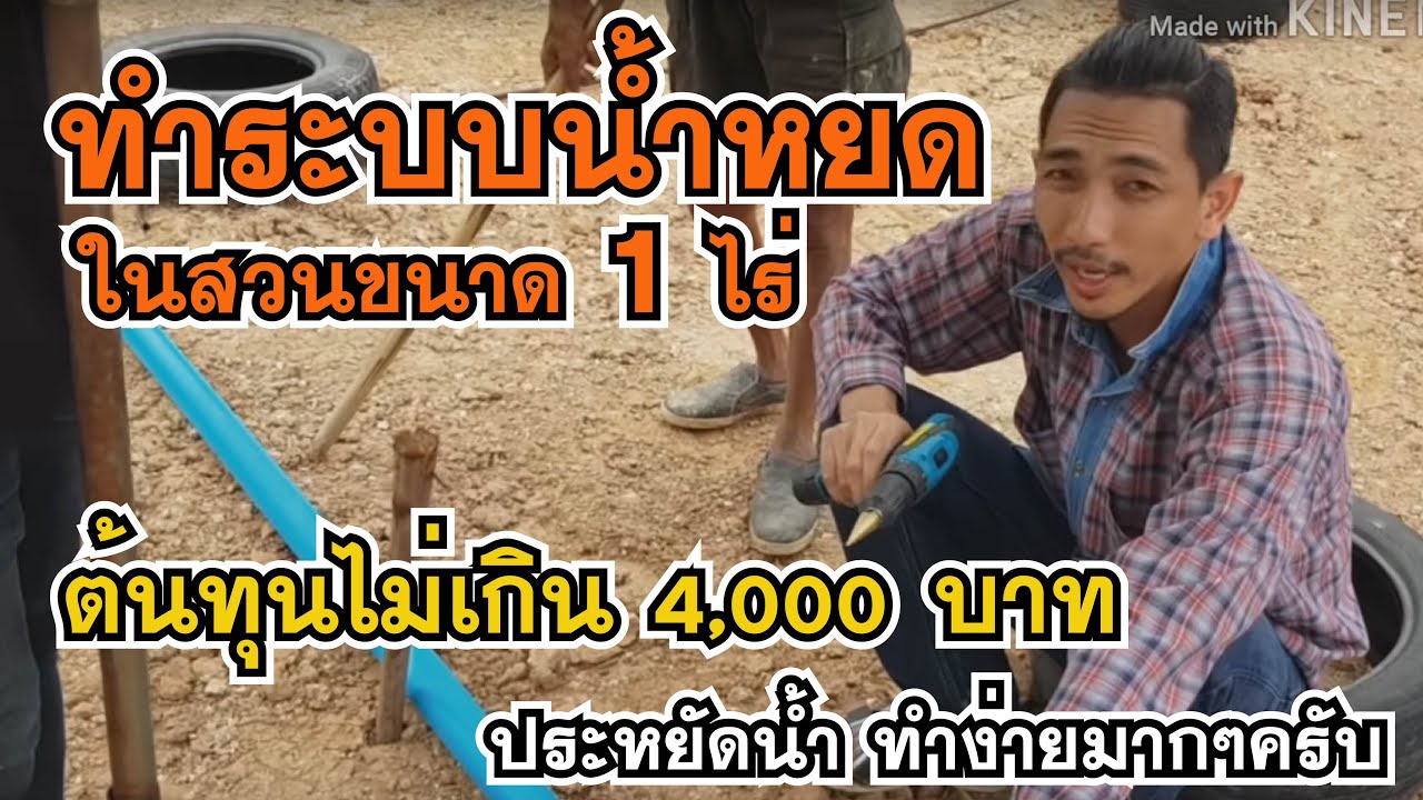 ทำระบบน้ำหยด ในสวนขนาด 1 ไร่ต้นทุนไม่เกิน 4,000 บาททำกันง่ายๆครับประหยัดน้ำ มาชมกันเลย