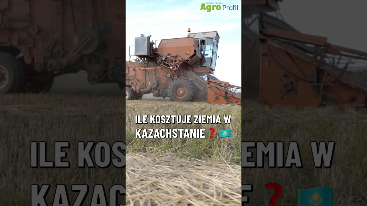 Ile kosztuje hektar ziemi rolnej w Kazachstanie? Jest tanio!