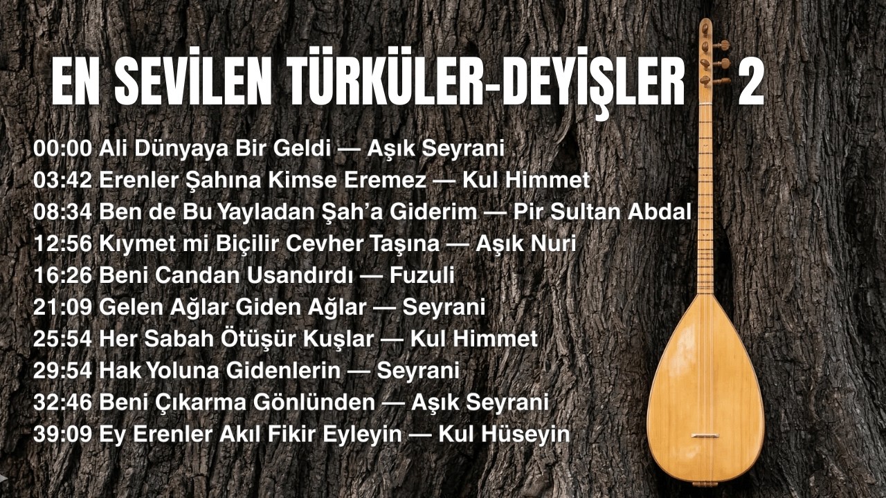 En Sevilen Deyişler - Türküler, Mix Albüm, Sazlı Yolcu