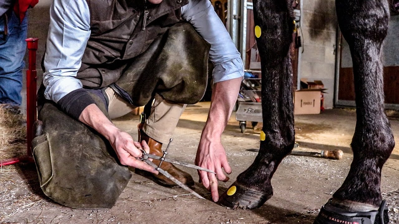 How to take your horse BAREFOOT - part 2