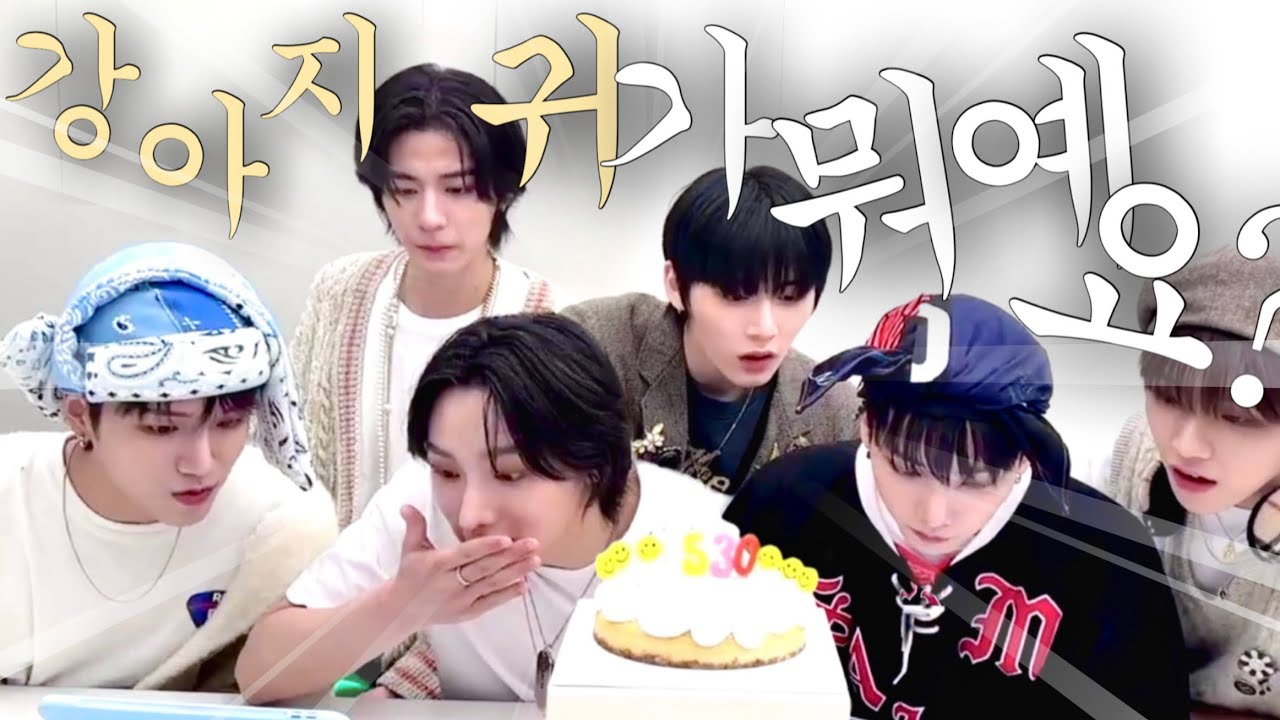 [보넥도] ⭐️데뷔 2일 차⭐️ 아이돌의 첫 라이브 | 라이브 요약