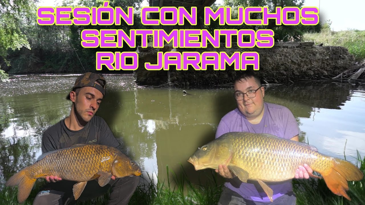 PEZ DE RECORD | RIO JARAMA | CARPAS | CARPFISHING | 2023