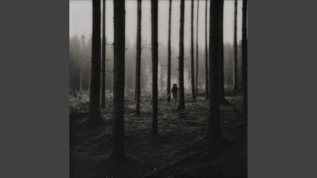 Le Vol des Sorcières