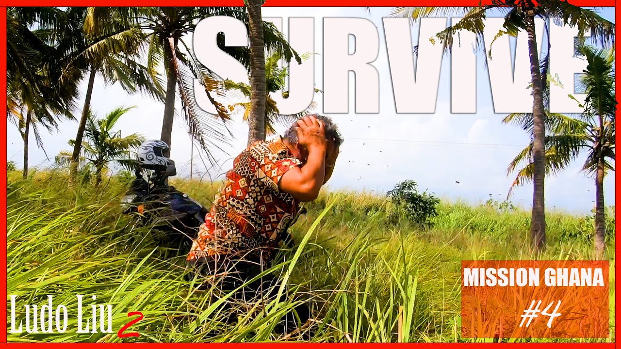 ATTACKED by KILLER BEES in GHANA I almost DIED - Africa Travel VLOG : Mission Ghana #4