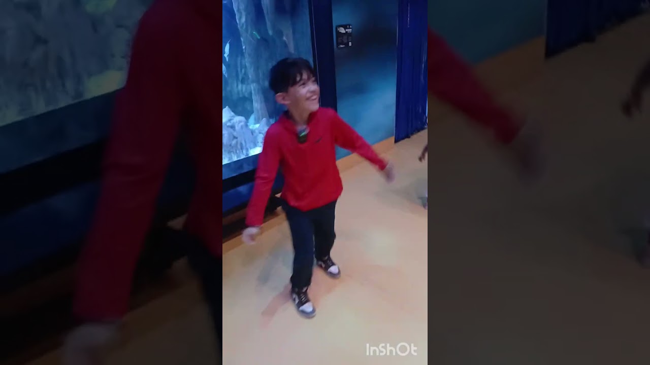 Visita al acuario Michin de Guadalajara 🐟  @AcuarioMichinGuadalajara 