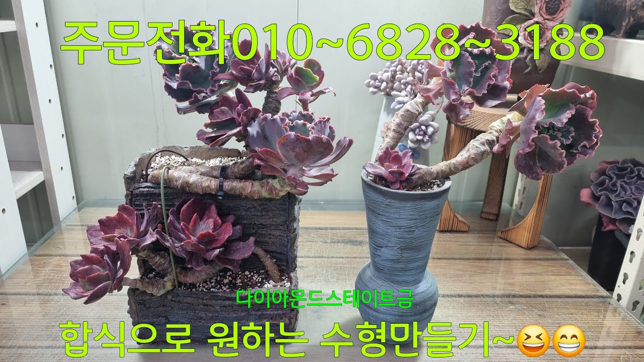(26.3.1.일)색감이 이뻐서 좋아요~😆😁