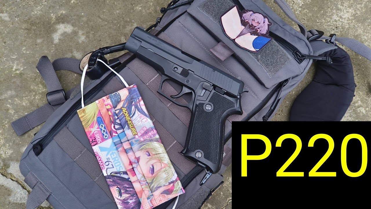 P220 二次元的锅