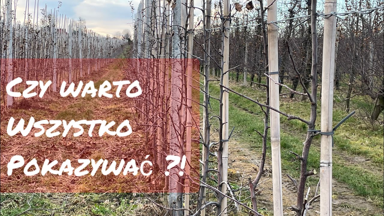 Dlaczego nie warto pokazywać jak jest? Mam to w du*** będę sobą...