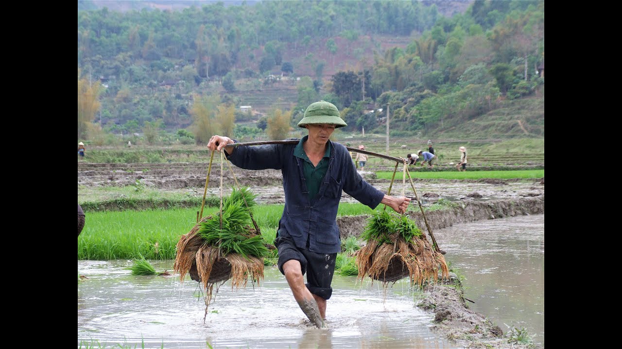 VIETNAM NORD, Le Tonkin
