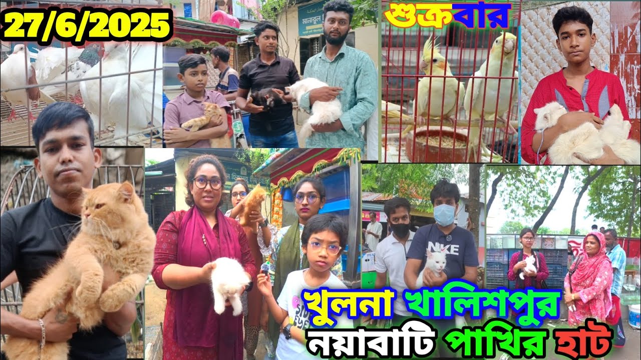 খুলনা খালিশপুর নয়াবাটি পাখির হাট #marufbillarubel সবথেকে বড় কবুতর হাট Khulna khalishpurpakhir hat