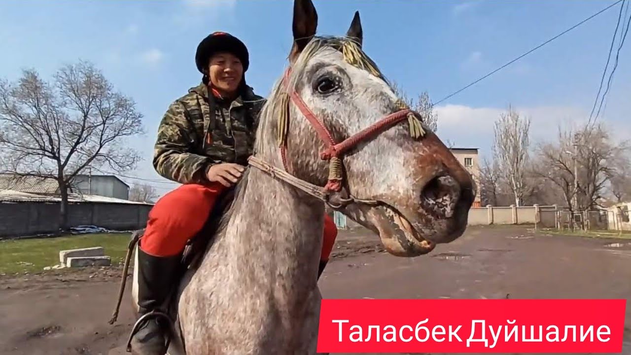 Достук командасынын чабуулчусу Таласбек Дуйшалие !