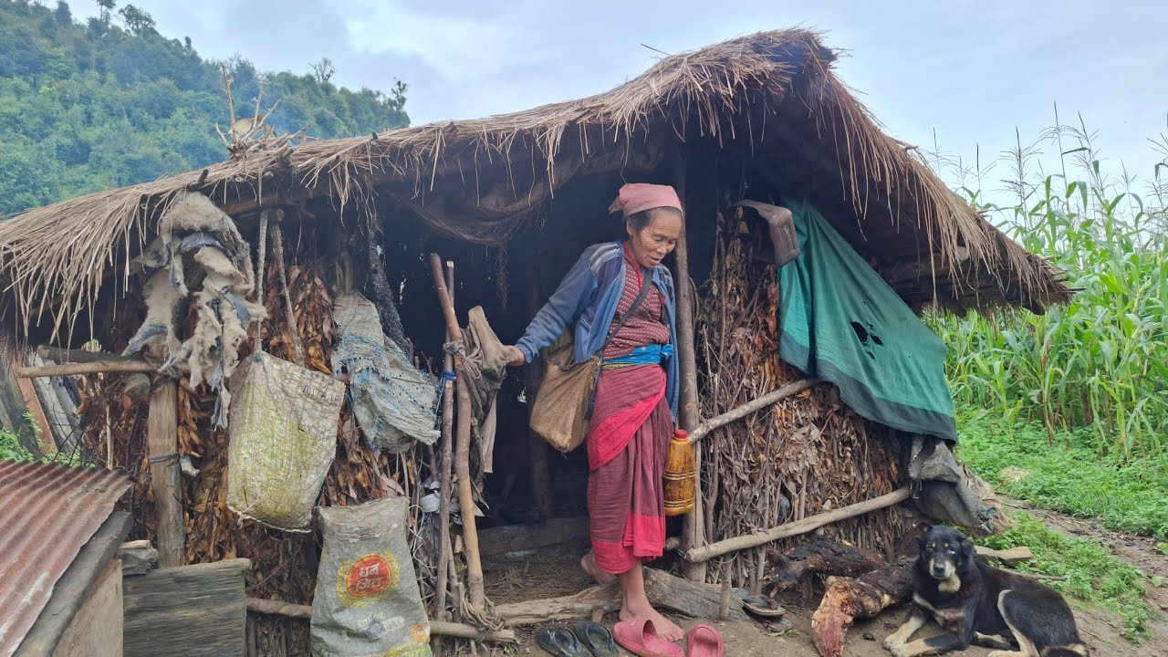 Nepali Mountain village life into the Rainy Season | Beautiful Nepali Mountain Village life