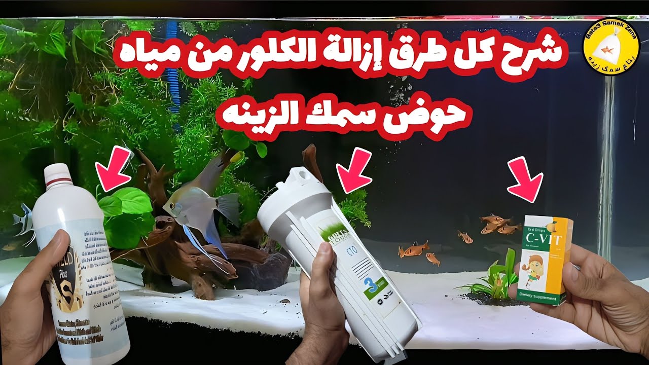 طرق إزالة الكلور من مياه حوض سمك الزينه