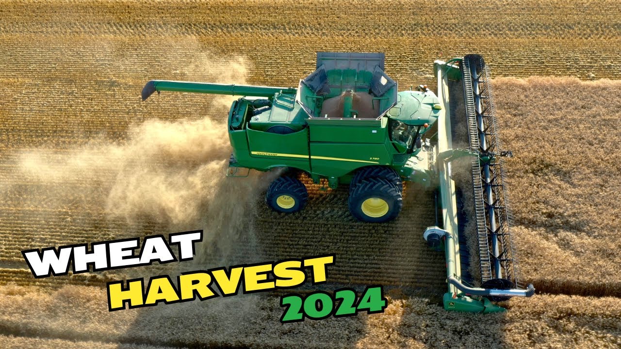 Lets Go Harvest Some Wheat!!