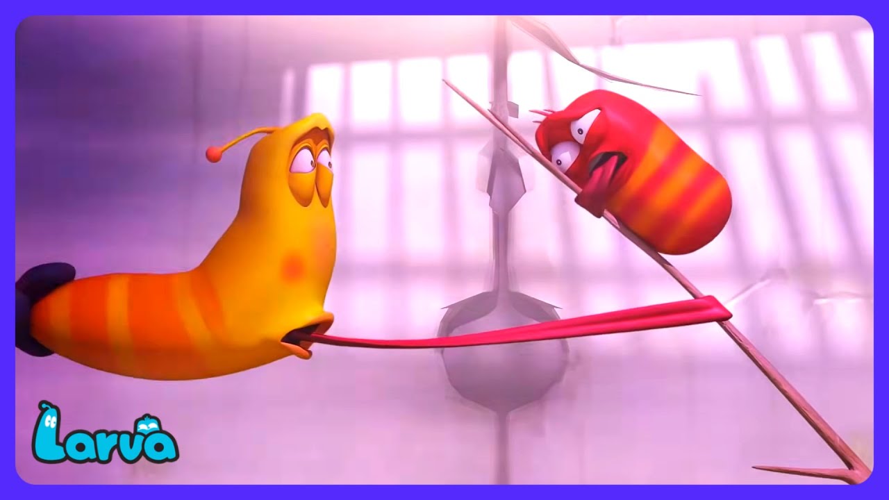 Larva - Wielki Tajfun! | Bajki dla dzieci | WildBrain Dzieci