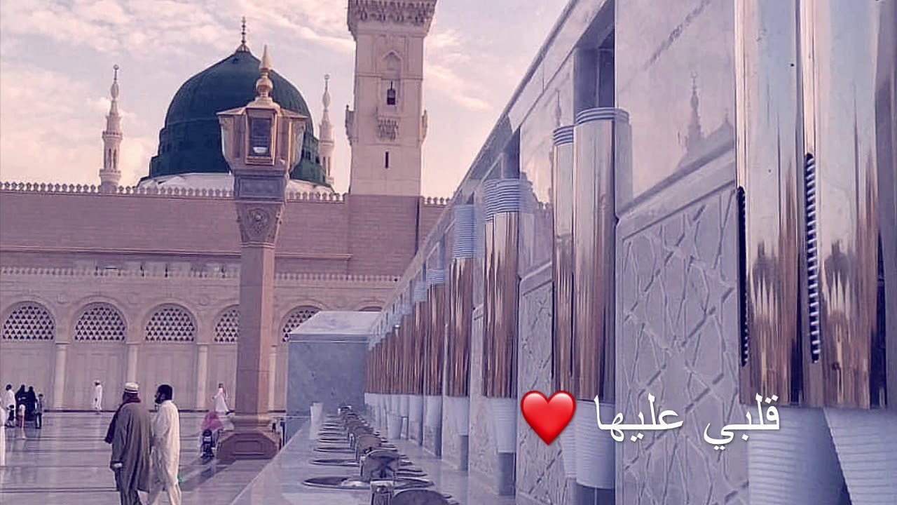 يا حمام الشوق وصل سلامي ، أنشودة قلبي عليها بصوت عندليب الحجاز / محمد الغزالي