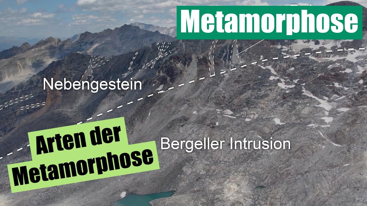 Metamorphose 3: Arten der Metamorphose