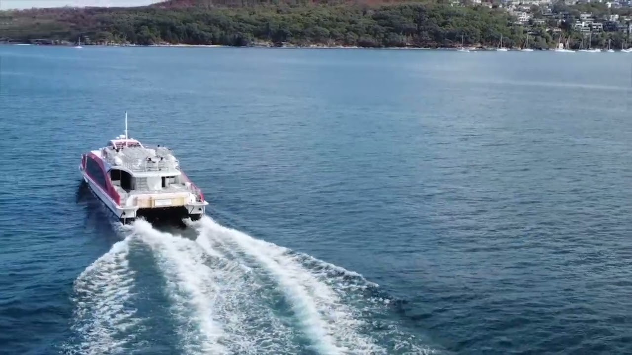Manly NSW Road trip