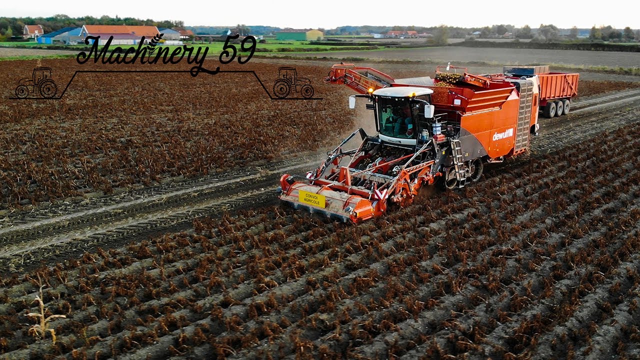Arrachage de Pomme de terre 2018 | Fendt | New holland | Dewulf Kwatro  in France