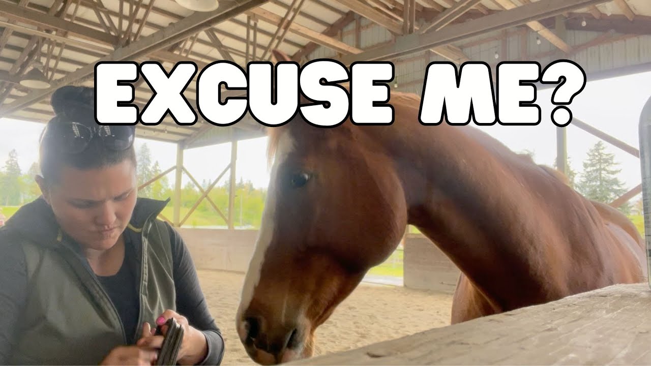 Horse DEMANDS a Butt Scratch 😂