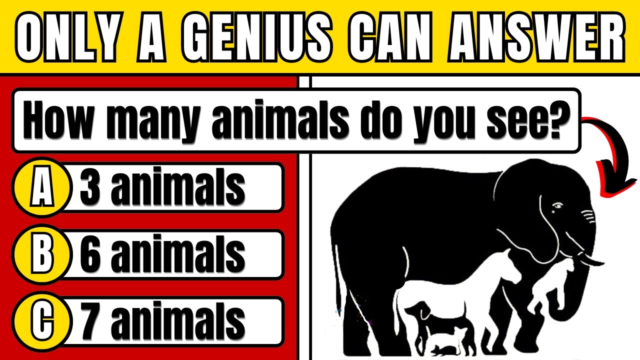 I Doubt You Can Get More Than 100 Questions Right on This General Knowledge Quiz!