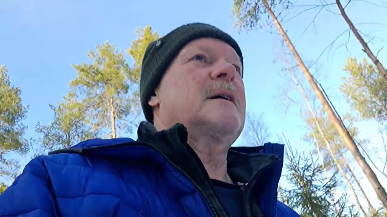 AURINKOISEN TIISTAIN Turinoita