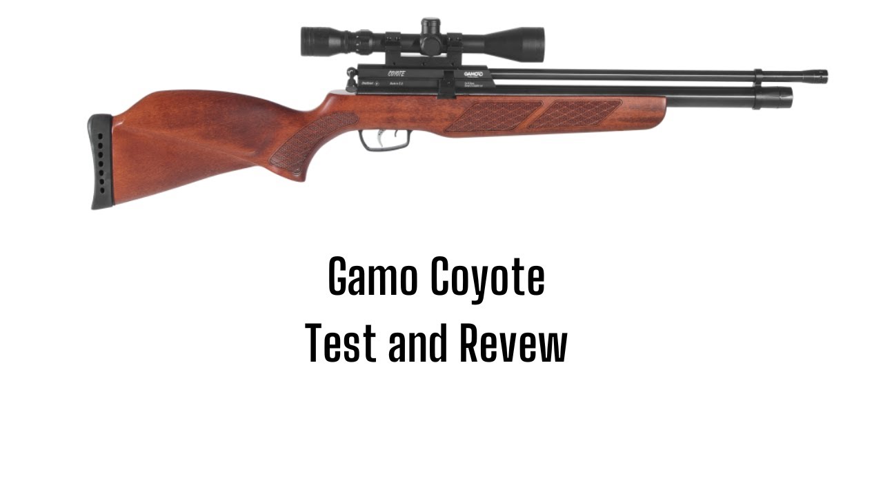Gamo Coyote Test and Review