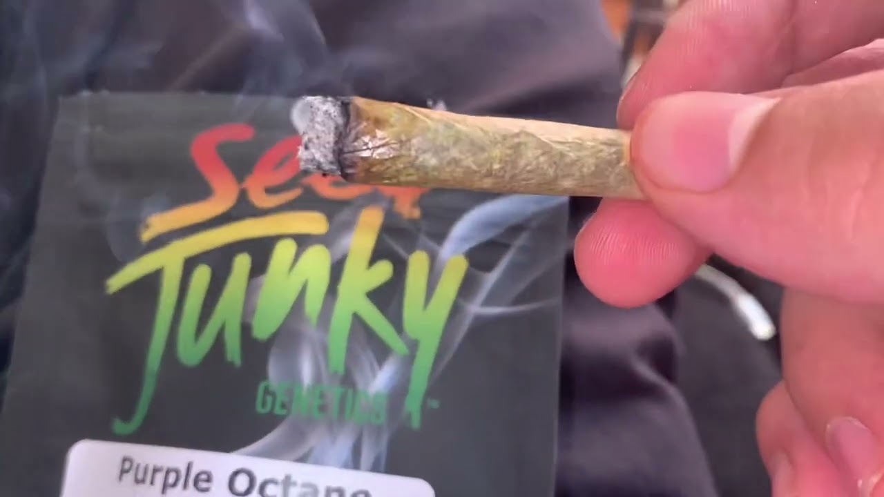 Purple Octane by Seed Junky