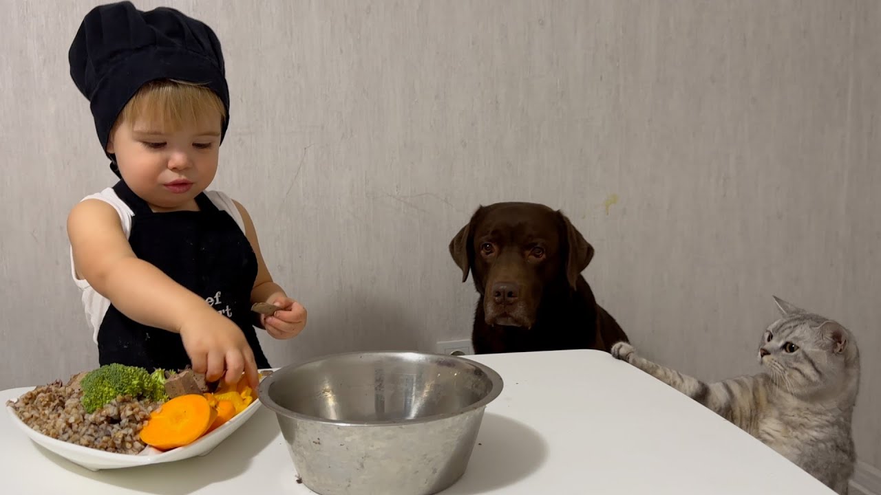 Baby Chef's Secret Recipe to Feed his Hungry Friends!