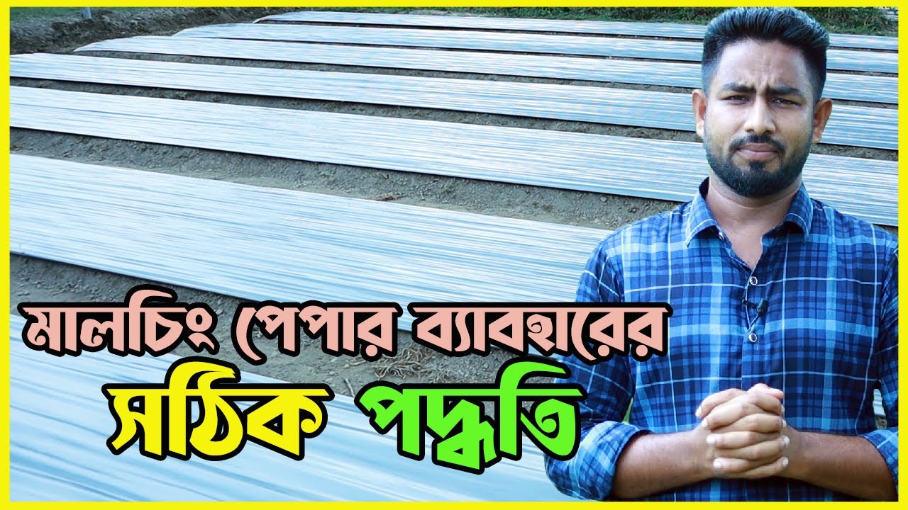 মালচিং পেপার ব্যবহারের সঠিক পদ্ধতি জেনে নিন একটি ভিডিও তেই | Agro One - একটি আধুনিক কৃষি প্রচেষ্টা