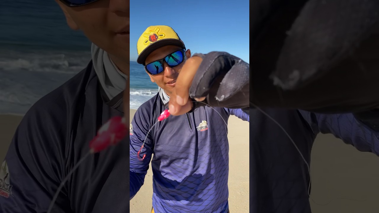 Whip for fishing pompano. #fish #fishing #fishing #tips #fishing