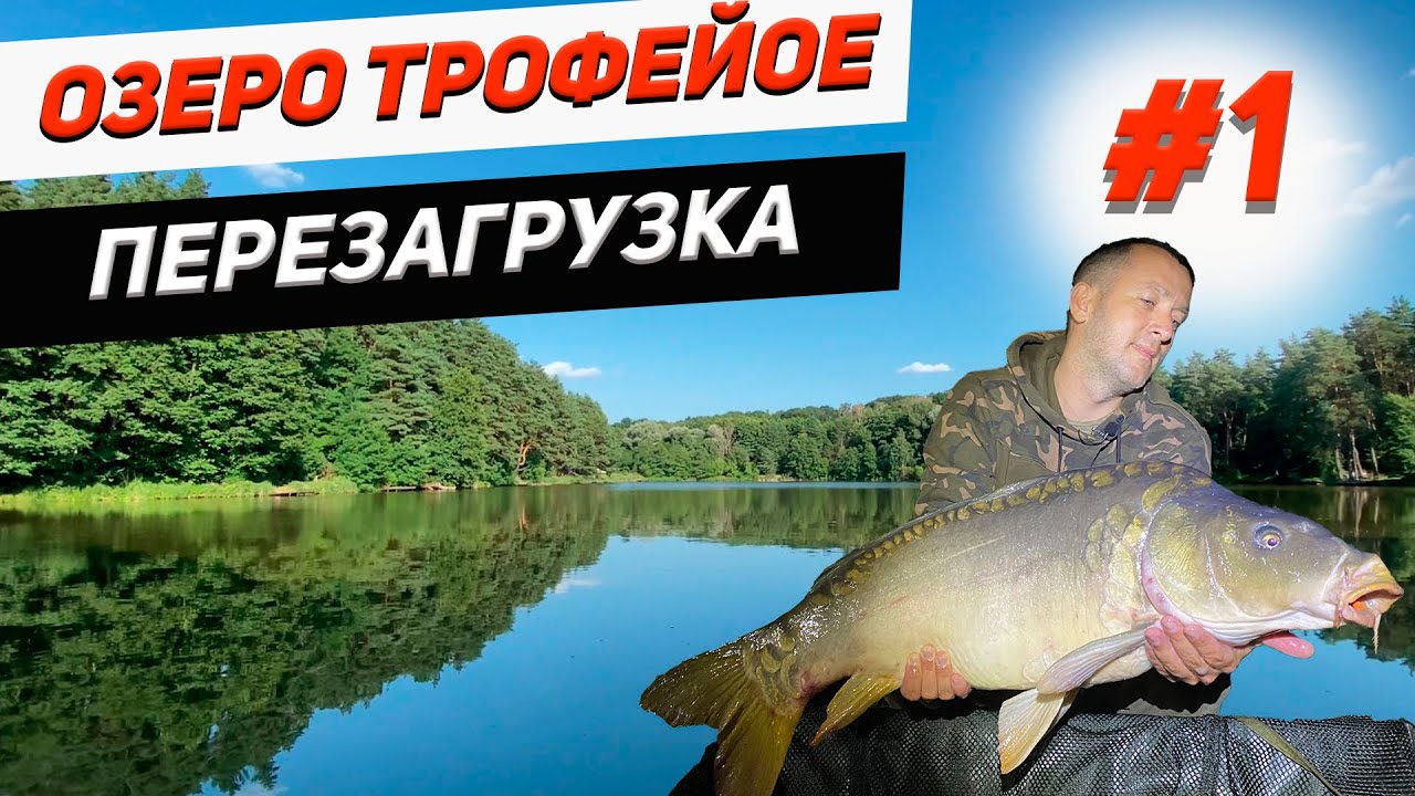 Озеро Трофейное| Ловля карпа и глобальное обновление|Часть 1