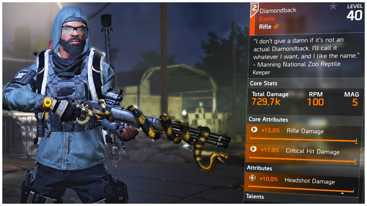 PERFECT DIAMONDBACK Exotic Rifle Build in The Division 2!