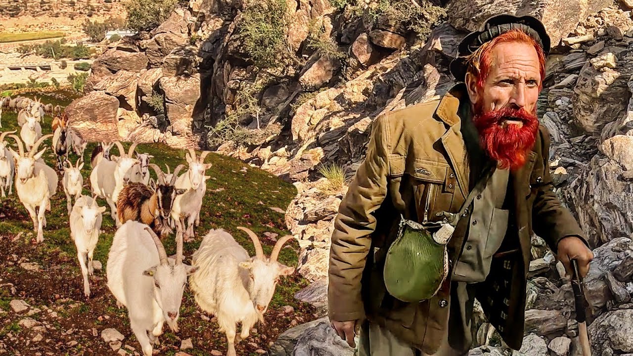A Shepherd's Life in The Mountains of Afghanistan