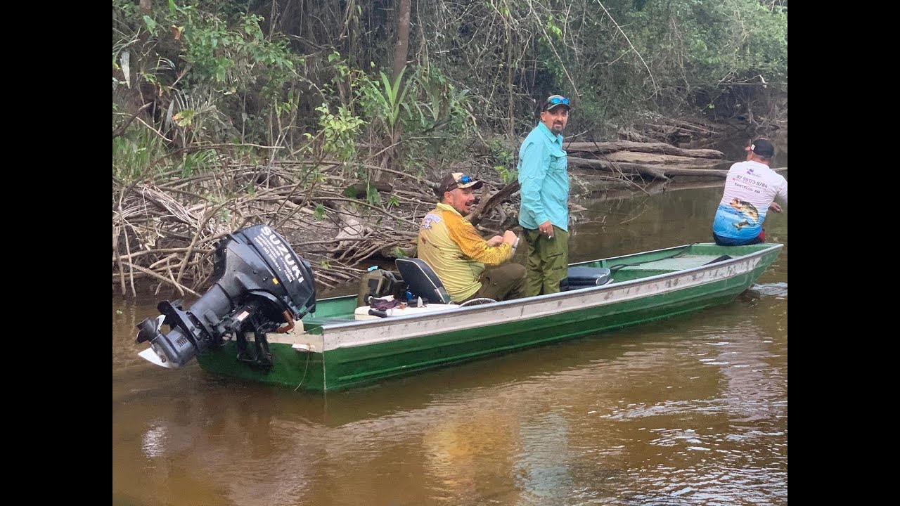 Big Peacocks sur le Rio Negro et Rio Padauari 2025 Part 4