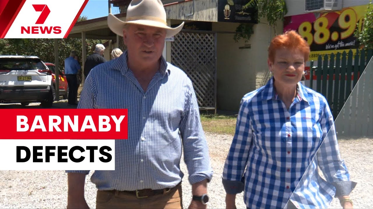 Barnaby Joyce joins One Nation as his former colleagues take aim | 7NEWS