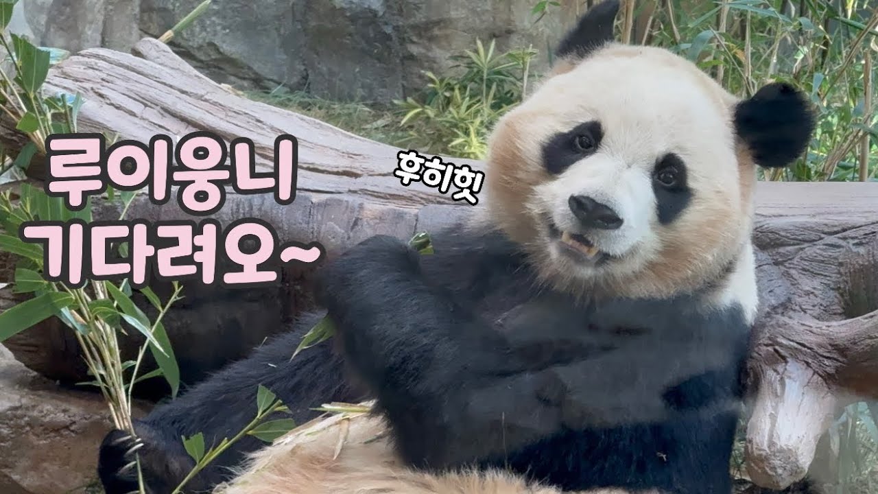 우리 웅니 좀 깨워주데오~😊