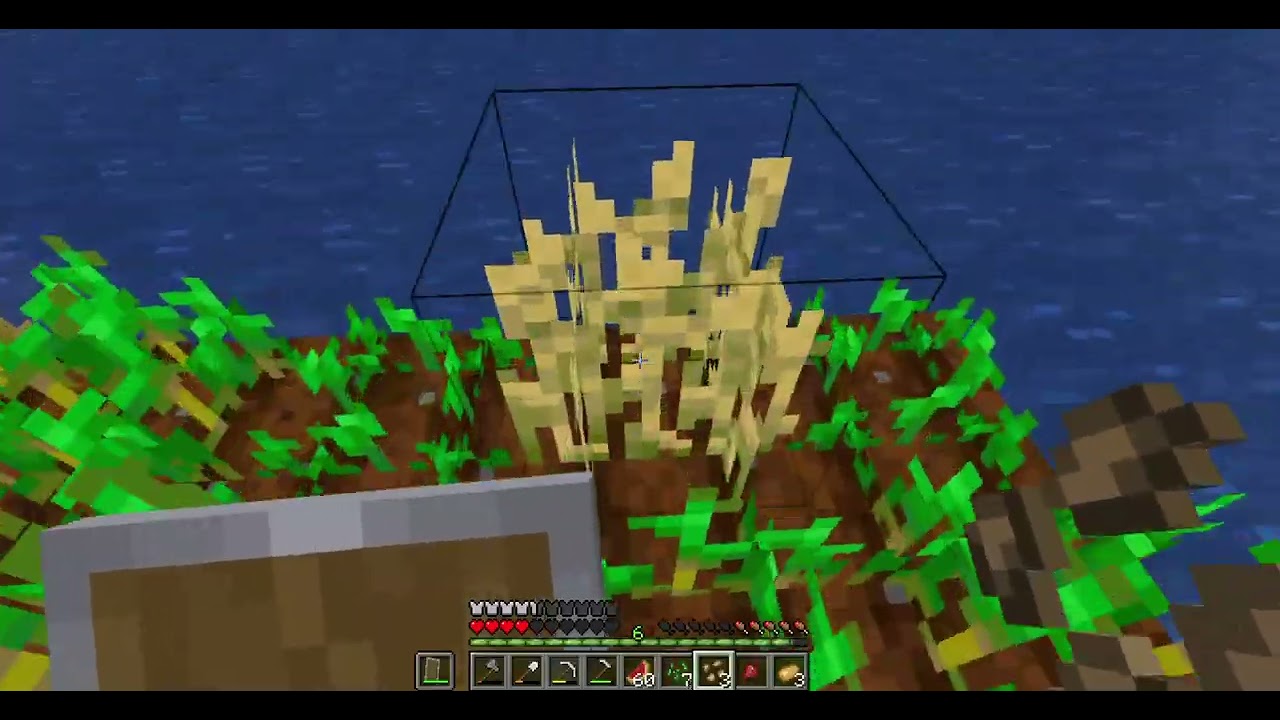Minecraft bölüm 10